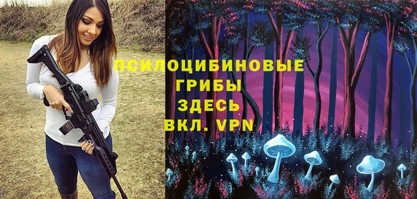 первитин Алексеевка