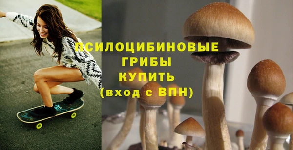 apvp Алзамай