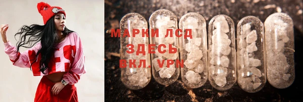 apvp Алзамай