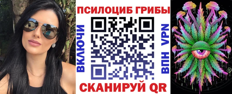 Галлюциногенные грибы Psilocybine cubensis где продают наркотики Похвистнево